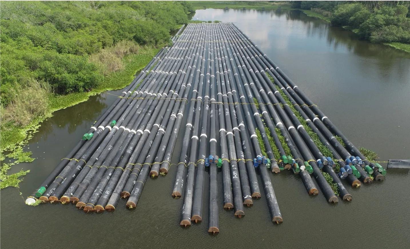 Large clusters of black pipes floating on a river.